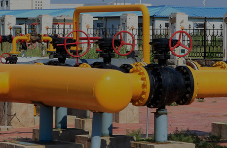 그룹 회사는 공산품 생산 허가를 받았습니다.