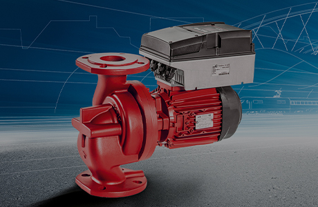 신용등급 인증서[AAA등급]